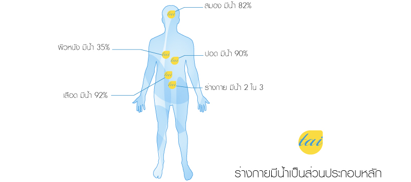 น้ำเพื่อสุขภาพ